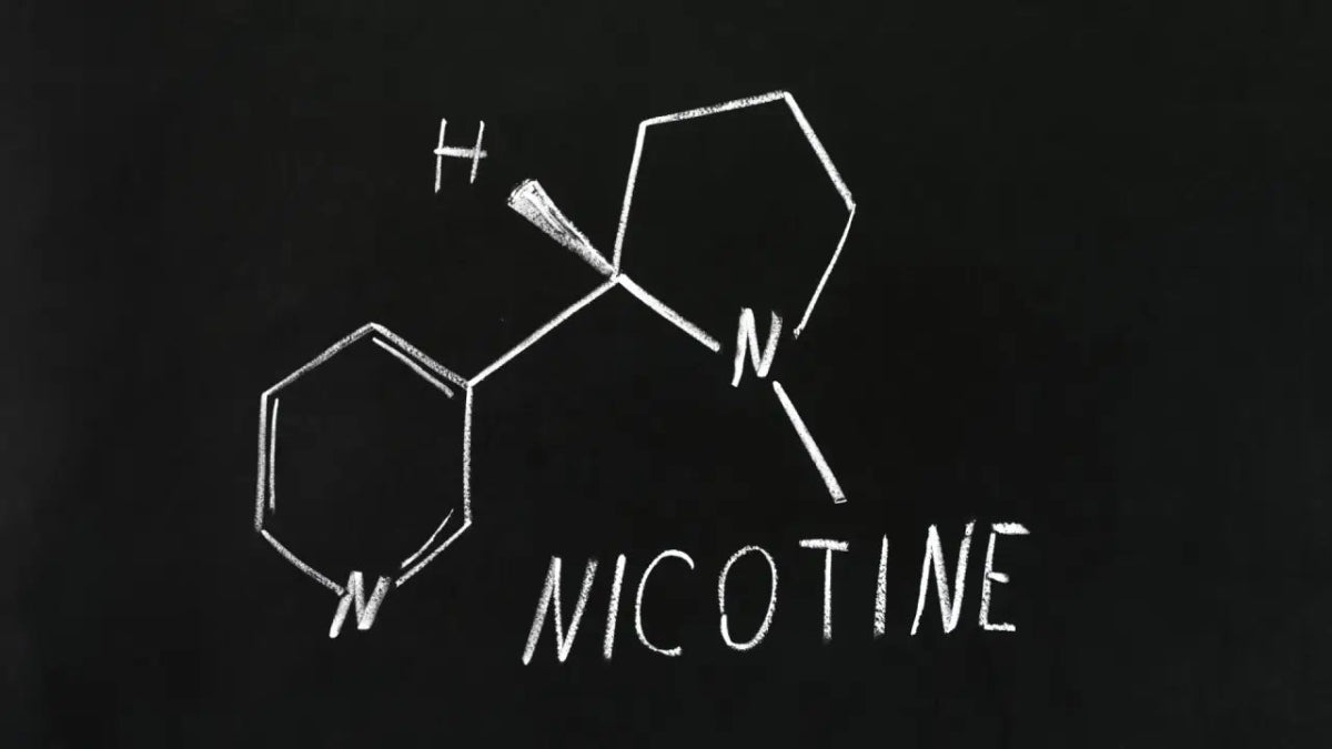 Historia de la Nicotina - INDY PERU